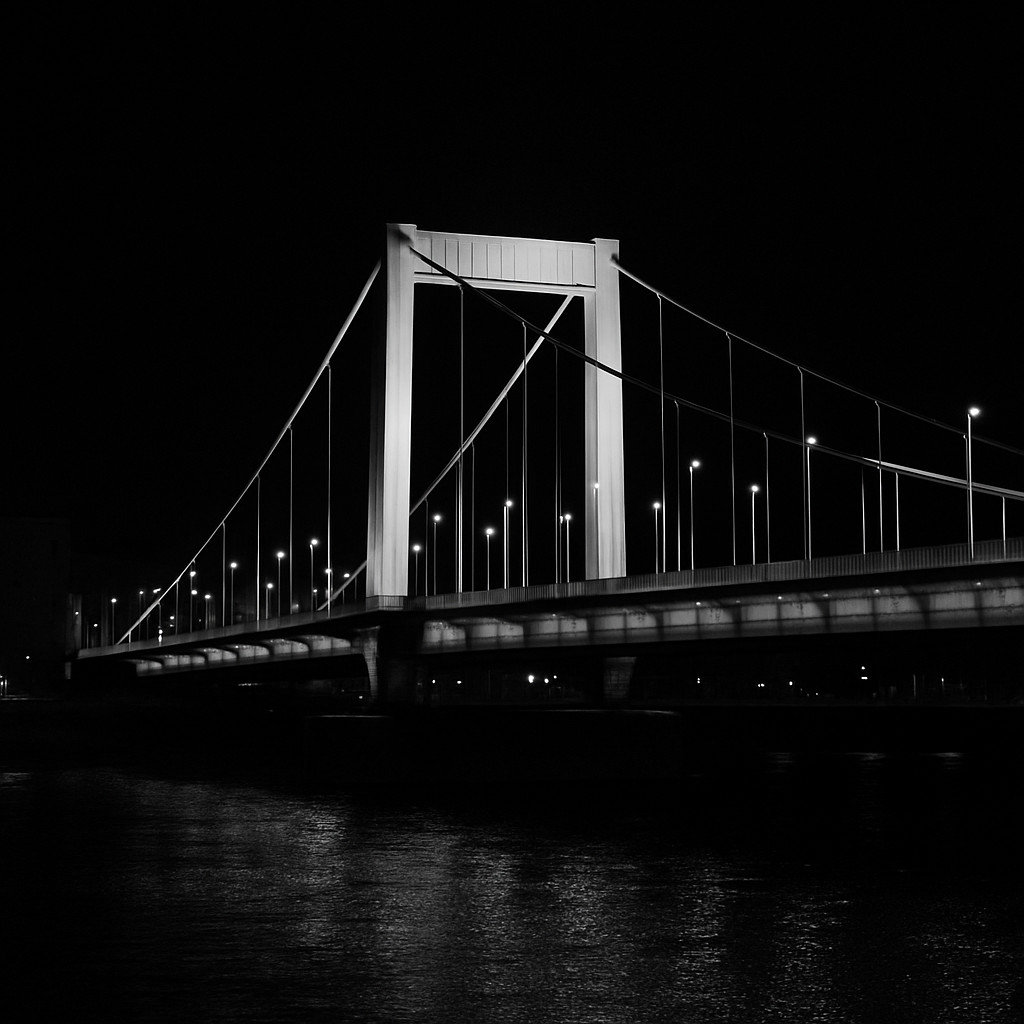 Black and white night view of Elisabeth Bridge Budapest, its white structure glowing above the dark Danube under a deep black sky.